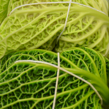 Elaborati Gli Sfiziosi Elaborati